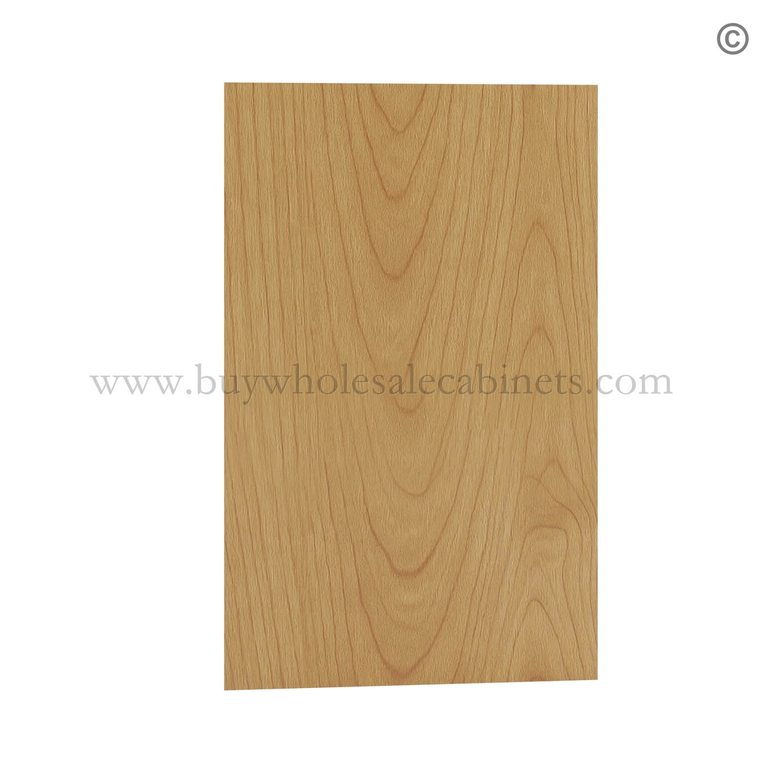 Treasure Chest Shaker Wall Skin Panel