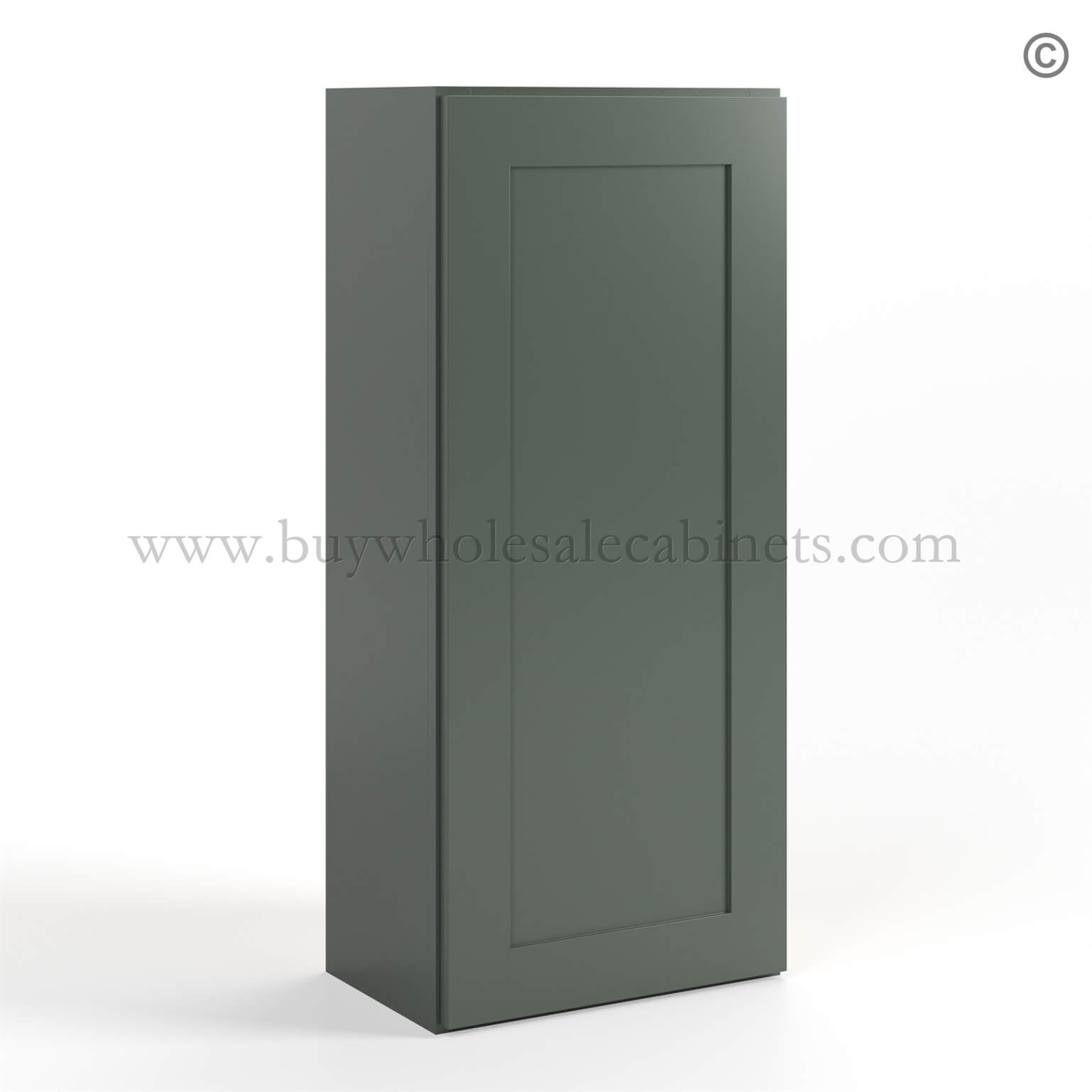 Green Shaker 42 H Single Door Wall Cabinet